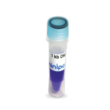 Reagente corante - Load Ready™ - Amplyus - marcador de peso molecular de DNA / para eletroforese / líquido