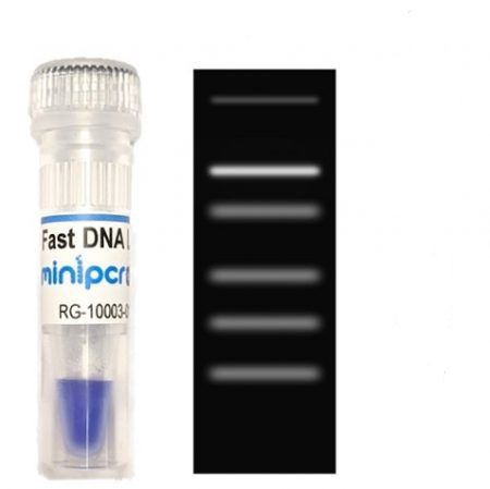 Reagente corante - miniPCR bio™ - Amplyus - marcador de peso molecular de DNA / para eletroforese / líquido