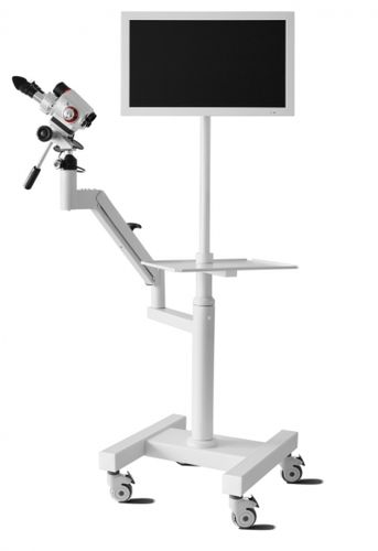 Colposcópio binocular - ALSCOPE - Biomedicinos Technika - vídeo / com carrinho
