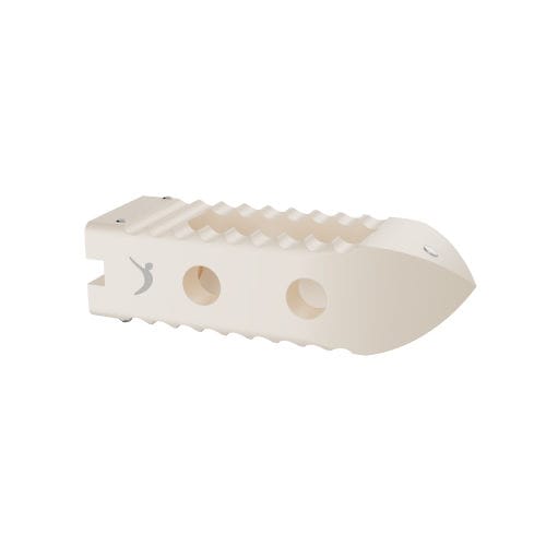 Espaçador intervertebral lombar - PROCORB™  - Prodorth Spine - via posterior / em PEEK / em titânio