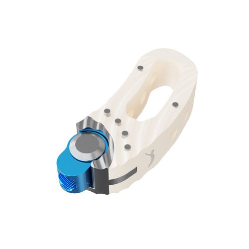 Espaçador intervertebral lombar - PRODOLPHIN™ - Prodorth Spine - via transforaminal / em PEEK / em titânio