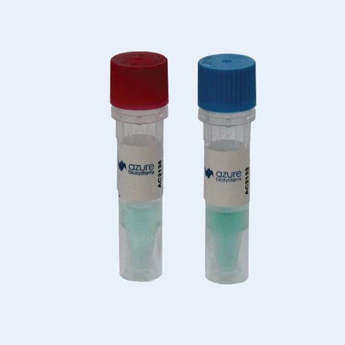 Reagente anticorpos - AzureSpectra - Azure Biosystems - para western blot