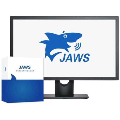 Software para treinamento - JAWS® - Freedom Scientific - de captura / de leitura de tela / para internação domiciliar