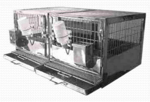 Gaiola veterinária para coelhos - RBB-S-T-3 - Meditech Technologies India - com 2 compartimentos