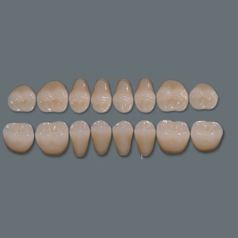 Prótese dentária em acrílico - Three-layer - UAB BALTKOMEDA - para dentes anteriores / para dentes posteriores