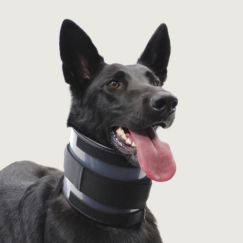 Colar cervical veterinário para cães - Bite Free™ - KVP EU Ltd - com fecho de Velcro® / ajustável