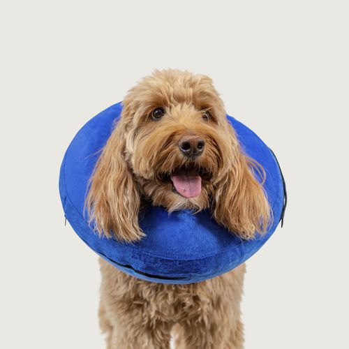 Colar cervical veterinário para cães - KONG® Cloud™ - KVP EU Ltd - lavável / inflável