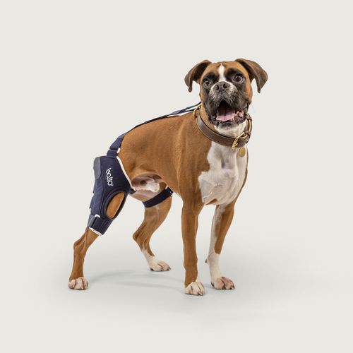 Suporte de joelhos cirúrgico - Balto® Jump - KVP EU Ltd - veterinário / radiotransparente
