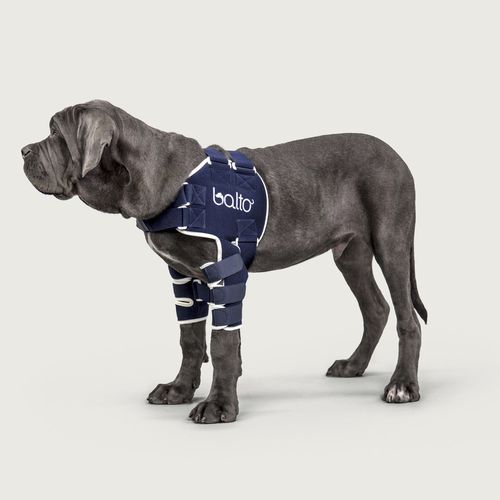 Suporte de peso corporal para reabilitação - Balto® Lux - KVP EU Ltd - veterinário / para cães