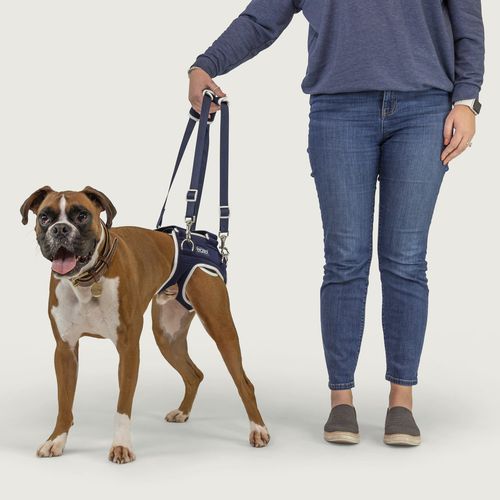 Suporte corporal para locomoção - Balto® Life - KVP EU Ltd - para reabilitação / para cães