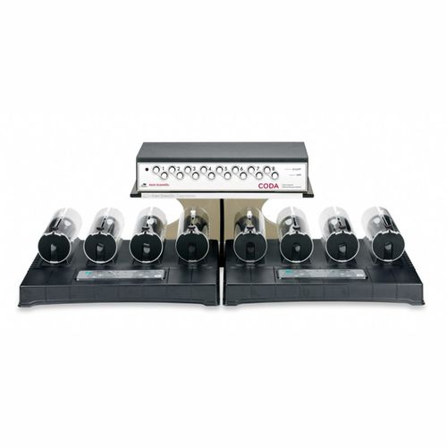 Medidor digital de pressão arterial automático - CODA® High - Kent Scientific - de cauda / para animais / para roedores