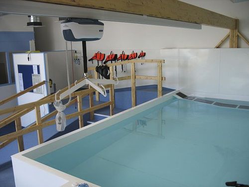 Piscina de reabilitação elevada - Bespoke - Dogpools - veterinária