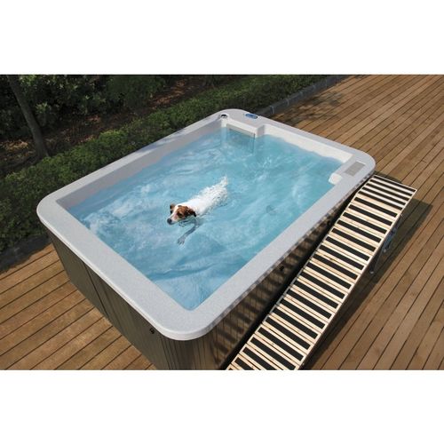 Piscina de reabilitação elevada - S290 - DoggySwim - veterinária
