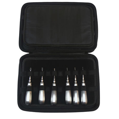 Kit de instrumentos veterinários para cirurgia odontológica - DS1005-06 - RWD Life Science - para cães