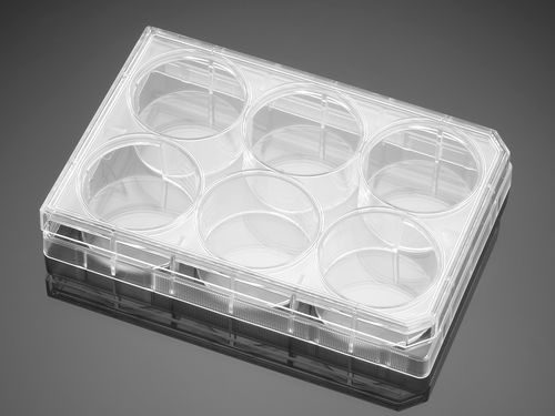 Microplaca para ciências da vida - 353046  - Corning BV - para cultura de tecidos / com 6 poços / de plasma
