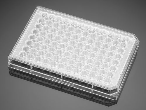 Microplaca de fluorescência - 351177  - Corning BV - com 96 poços / de superfície