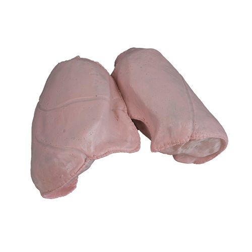 Modelo anatômico de pulmão - 1301 series - SynDaver Labs - cirúrgico / de ablação / tomógrafo computadorizado (TC)
