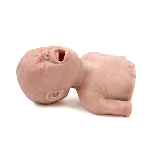 Simulador para ensino - 160420 - SynDaver Labs - de controle de vias aéreas / de intubação / para cuidados gerais de saúde