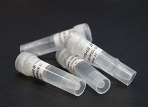 Reagente em solução - 10000163 - microfluidic ChipShop GmbH - para biologia molecular