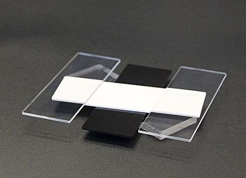 Lâmina de microscópio - 10000000 - microfluidic ChipShop GmbH
