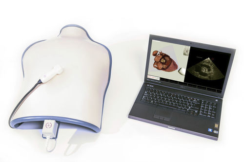 Simulador para ecocardiografia - TTE mobile - Inventive Medical Limited - de torso / assistido por computador