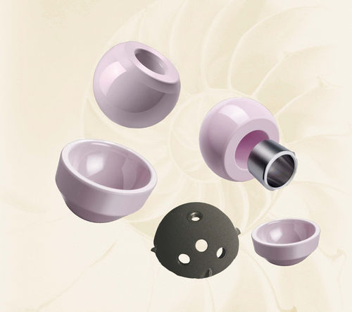 Prótese de cabeça femoral - 016-1311-2800 - Biotech Medical