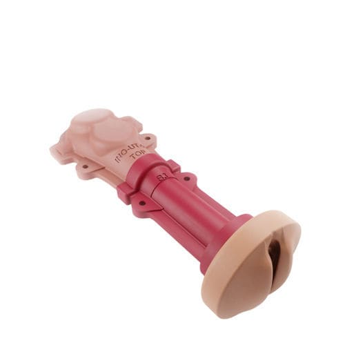 Modelo anatômico vaginal - 00001359 - Inovus Medical - cervical / de útero / de cirurgia