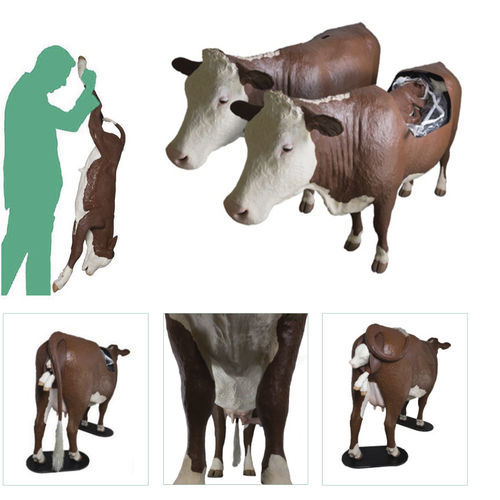 Simulador para distocia - Veterinary Simulator Industries - para veterinária / de bovino / de corpo inteiro