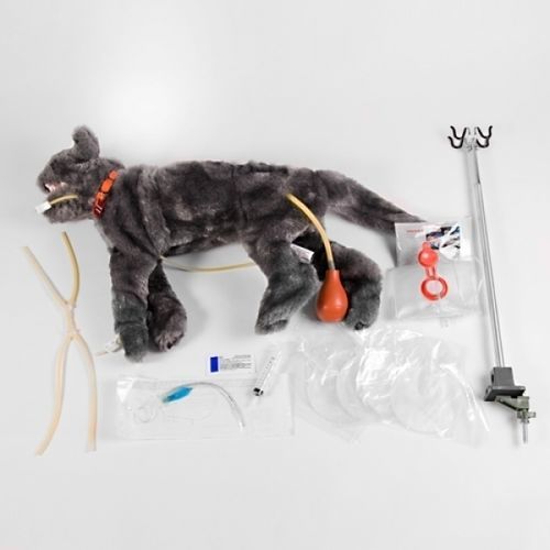Manequim de treinamento para cuidados intensivos - FLUFFY - Rescue Critters - para RCP / de ligadura / de felino