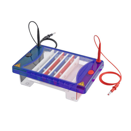 Sistema de eletroforese de bancada - ConcertoGEL  - Hercuvan - horizontal
