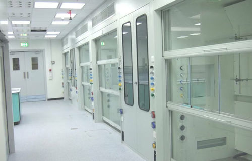 Capela de exaustão de escape - Envair - de laboratório / para laboratórios de investigação / de dimensões walk-in