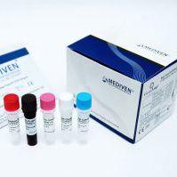 Kit de teste da dengue - GenoAmp&reg; GRA2006 - Medical Innovation Ventures - para vírus / de soro / de plasma