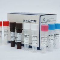 Kit de teste da dengue - GenoAmp® GRA2010 - Medical Innovation Ventures - do vírus Zika / da chikungunya / de soro
