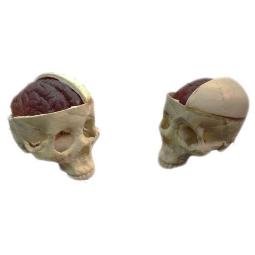 Fantoma para ecografia - CORRECT  - Pure Imaging Phantoms - para ressonância magnética / de cérebro / de crânio