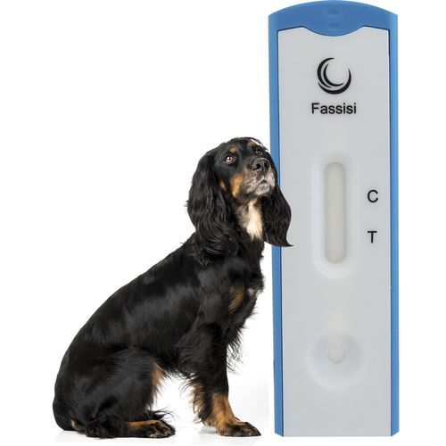 Teste rápido de verme do coração - CANDIRO - Fassisi, Gesellschaft für Veterinärdiagnostik und Umweltanalysen mbH - para cães / de Dirofilaria / de soro