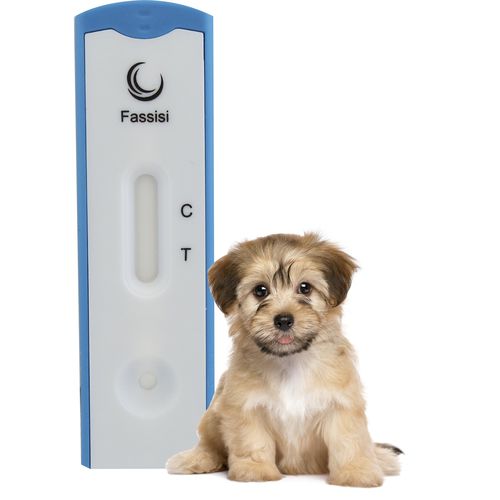 Teste rápido de cinomose - CANDIS - Fassisi, Gesellschaft für Veterinärdiagnostik und Umweltanalysen mbH - para cães / para vírus / de urina