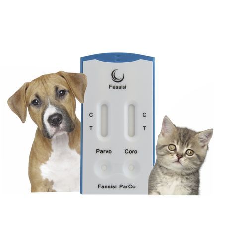 Teste rápido para doenças infecciosas - ParCo - Fassisi, Gesellschaft für Veterinärdiagnostik und Umweltanalysen mbH - para gatos / para cães / de coronavírus