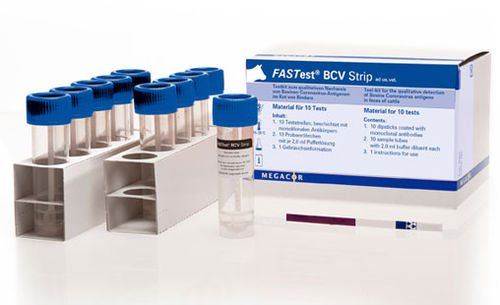 Teste rápido para doenças gastrointestinais - FASTest® BCV - MEGACOR Diagnostik - para bovinos / de coronavírus / de fezes