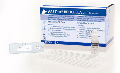 Teste rápido de brucelose - FASTest® BRUCELLA - MEGACOR Diagnostik - para cães / de anticorpos / de Brucella