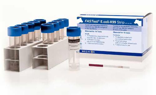 Teste rápido de diarreia - FASTest® E.coli-K99 - MEGACOR Diagnostik - para bovinos / de antígeno / de chumbo