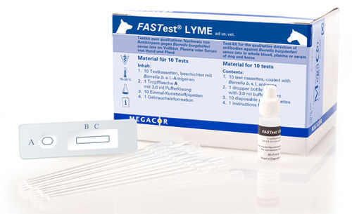 Teste rápido da doença de Lyme - FASTest® LYME - MEGACOR Diagnostik - para cães / para cavalos / de IgG