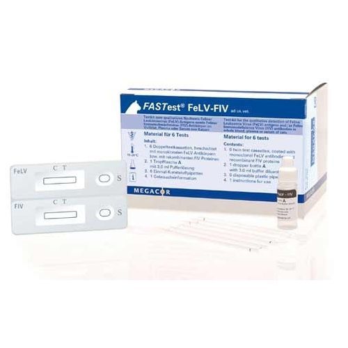 Teste rápido de leucemia felina - FASTest® FeLV-FIV - MEGACOR Diagnostik - para gatos / de antígeno / de FIV