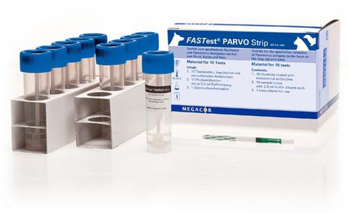 Teste rápido para doenças infecciosas - FASTest® PARVO  - MEGACOR Diagnostik - de diarreia / para gatos / para cães