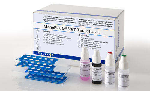 Kit de teste de cinomose - MegaFLUO® CDV - MEGACOR Diagnostik - para cães / de anticorpos / de IgG