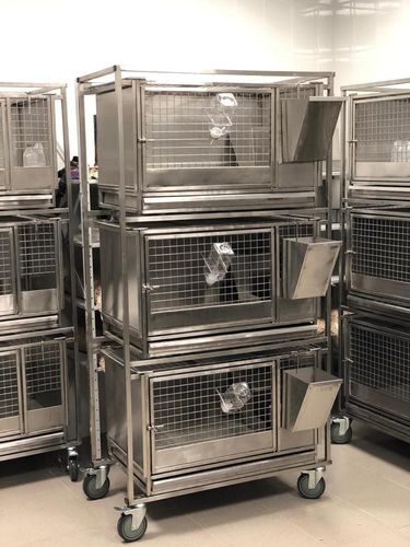 Gaiola veterinária para coelhos - CL-1260 - Vetbot - com 3 compartimentos / em aço inoxidável / com 3 prateleiras