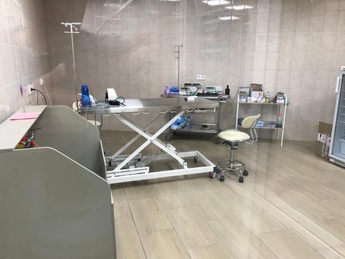 Mesa cirúrgica veterinária elétrica - 72 - Vetbot - para animais de grande porte / para animais de estimação / com altura regulável