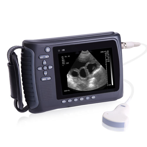 Ultrassom veterinário de bolso - PL-3018V - JZH Greenenergy - multiuso / em preto e branco