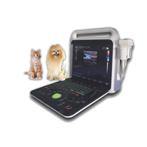 Ultrassom veterinário portátil - XF3800V - Xianfeng Ultrasound Medical - multiuso / para cães / para gatos