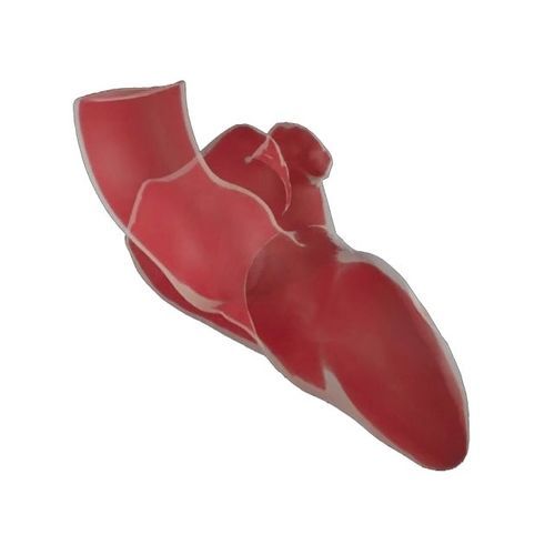 Software médico-hospitalar - ADAM - Materialise UK - de anatomia / para TC / de análise
