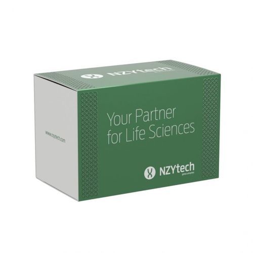 Kit de reagentes com enzimas - Polaris® - NZYTech - transcriptase reversa / inibidor de RNase / de diagnóstico